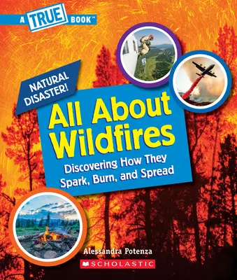 Totul despre incendiile de vegetație (o carte adevărată: dezastre naturale) - All about Wildfires (a True Book: Natural Disasters)