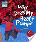 De ce pompează inima mea? Nivel 6 Factbook - Why Does My Heart Pump? Level 6 Factbook