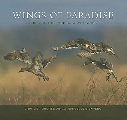 Wings of Paradise: Păsările din zonele umede din Louisiana - Wings of Paradise: Birds of the Louisiana Wetlands