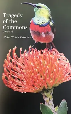Tragedia bunurilor comune (Tragedy of the Commons) - Tragedy of the Commons