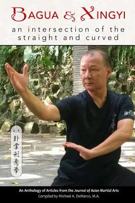 Bagua și Xingyi: O intersecție între drept și curb - Bagua and Xingyi: An Intersection of the Straight and Curved