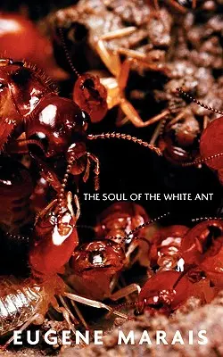 Sufletul furnicii albe (The Soul of the White Ant) - The Soul of the White Ant