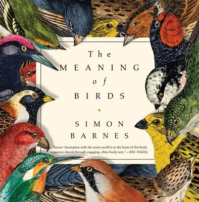 Sensul păsărilor - The Meaning of Birds