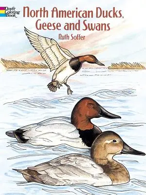 Carte de colorat cu rațe, gâște și lebede din America de Nord - North American Ducks, Geese and Swans Coloring Book