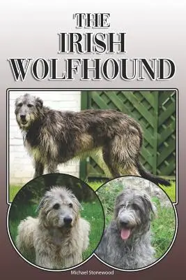 Wolfhound irlandez: Un ghid complet și cuprinzător al proprietarilor pentru: Cumpărarea, Deținerea, Sănătatea, Îngrijirea, Dresajul, Obediența, Înțelegerea și - The Irish Wolfhound: A Complete and Comprehensive Owners Guide To: Buying, Owning, Health, Grooming, Training, Obedience, Understanding and