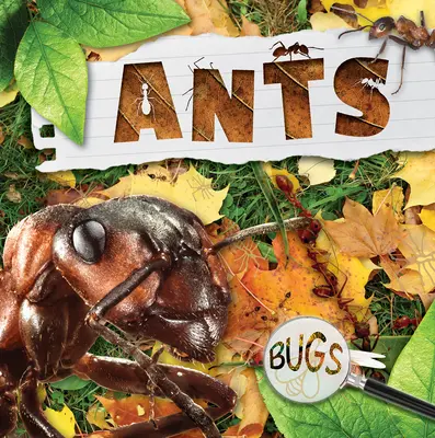 Furnicile - Ants