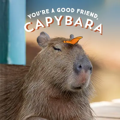 Ești un prieten bun, Capybara - You're a Good Friend, Capybara