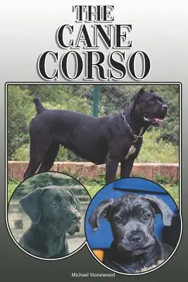 Cane Corso: Un ghid complet și cuprinzător al proprietarilor pentru: Cumpărarea, Deținerea, Sănătatea, Îngrijirea, Dresajul, Obediența, Înțelegerea și - The Cane Corso: A Complete and Comprehensive Owners Guide To: Buying, Owning, Health, Grooming, Training, Obedience, Understanding and