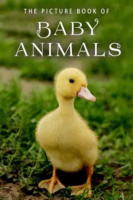 The Picture Book of Baby Animals: A Gift Book for Alzheimer's Patients and Seniors with Dementia