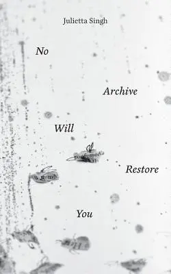 Nicio arhivă nu te va restaura - No Archive Will Restore You