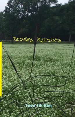 Oglinzi sparte - Broken Mirrors