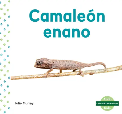 Camalen Enano (Cameleonul frunză) - Camalen Enano (Leaf Chameleon)
