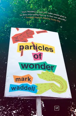 Particule de minune - Particles of Wonder