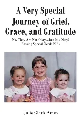 O călătorie foarte specială de durere, har și recunoștință: Nu, ei nu sunt bine... dar este bine! Creșterea copiilor cu nevoi speciale - A Very Special Journey of Grief, Grace, and Gratitude: No, They Are Not Okay...but It's Okay! Raising Special Needs Kids
