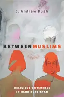 Între musulmani: Diferența religioasă în Kurdistanul irakian - Between Muslims: Religious Difference in Iraqi Kurdistan