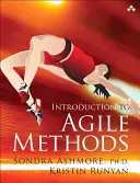 Introducere în metodele Agile - Introduction to Agile Methods