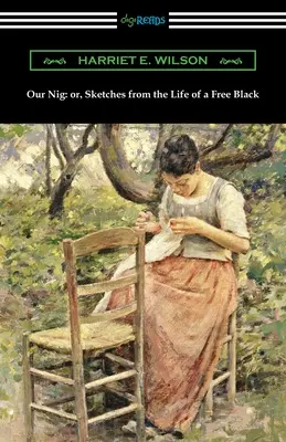 Our Nig: sau, Schițe din viața unui negru liber - Our Nig: or, Sketches from the Life of a Free Black