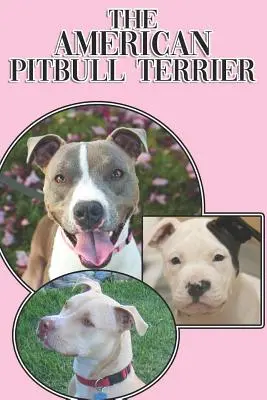 The American Pitbull Terrier: Un ghid complet și cuprinzător pentru începători pentru: Cumpărarea, Deținerea, Sănătatea, Îngrijirea, Dresajul, Obediența, Înțelegerea - The American Pitbull Terrier: A Complete and Comprehensive Beginners Guide To: Buying, Owning, Health, Grooming, Training, Obedience, Understanding