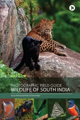 Ghid fotografic de teren - Wildlife of South India - Photographic Field Guide - Wildlife of South India