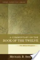 Un comentariu asupra Cărții celor Doisprezece: Profeții minori - A Commentary on the Book of the Twelve: The Minor Prophets