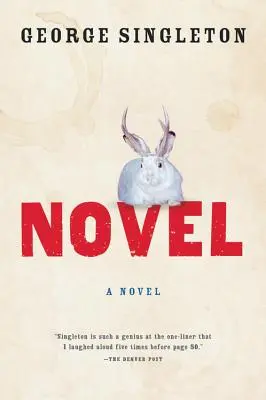 Roman - Novel
