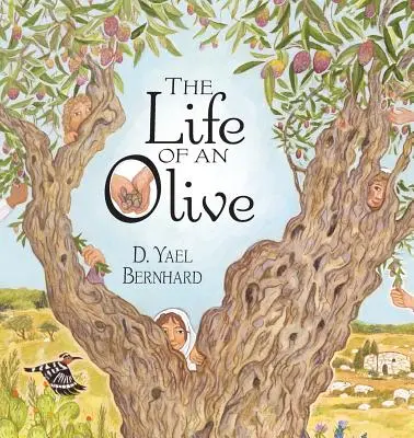 Viața unui măslin - The Life of an Olive