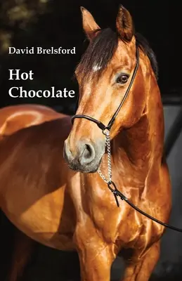 Ciocolată caldă - Hot Chocolate