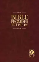Promisiuni biblice după care să trăiești - Bible Promises to Live by