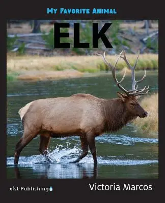Animalul meu preferat: Elan - My Favorite Animal: Elk