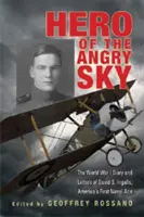 Eroul cerului furios: Jurnalul și scrisorile din Primul Război Mondial ale lui David S. Ingalls, primul as naval al Americii - Hero of the Angry Sky: The World War I Diary and Letters of David S. Ingalls, America's First Naval Ace