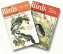 The Birds of Ecuador: Set de două volume - The Birds of Ecuador: Two-Volume Set