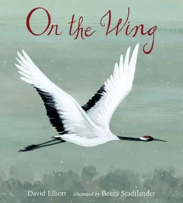 Pe aripă - On the Wing