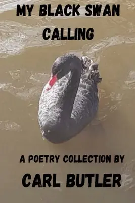 Chemarea mea de lebădă neagră - My Black Swan Calling