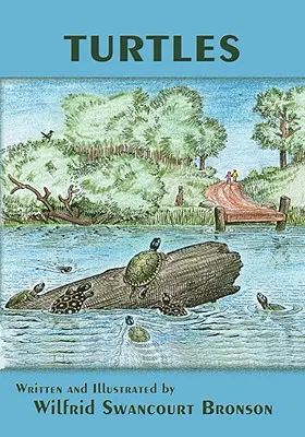 Țestoase - Turtles