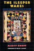 The Sleeper Wakes: Povestiri feminine din Renașterea Harlem - The Sleeper Wakes: Harlem Renaissance Stories by Women