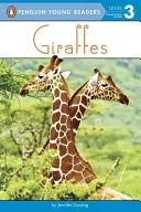 Girafe - Giraffes