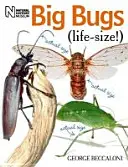 Insecte mari în mărime naturală - Big Bugs Life-Size