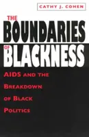 The Boundaries of Blackness: AIDS and the Breakdown of Black Politics (SIDA și prăbușirea politicii negrilor) - The Boundaries of Blackness: AIDS and the Breakdown of Black Politics