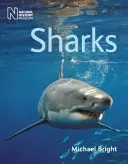 Rechinii - Sharks