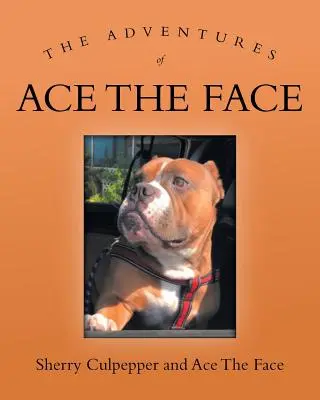 Aventurile lui Ace The Face - The Adventures of Ace The Face