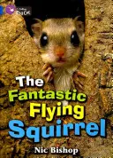 Fantastica veveriță zburătoare - The Fantastic Flying Squirrel
