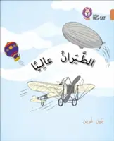 Flying: (Nivelul 12) - Flying: (Level 12)