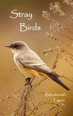 Păsări rătăcite - Stray Birds