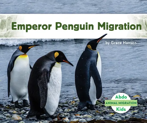 Migrația pinguinilor împărat - Emperor Penguin Migration