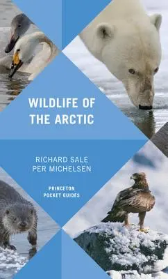 Viața sălbatică din Arctica - Wildlife of the Arctic