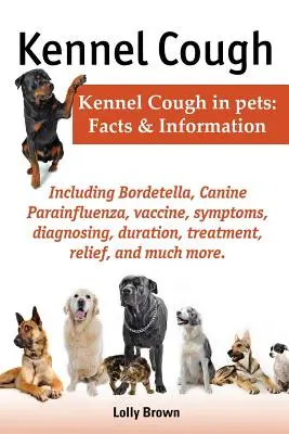 Tusea canină. Inclusiv simptome, diagnosticare, durată, tratament, ameliorare, Bordetella, Parainfluenza canină, vaccin și multe altele. Tusea Kennel la P - Kennel Cough. Including Symptoms, Diagnosing, Duration, Treatment, Relief, Bordetella, Canine Parainfluenza, Vaccine, and Much More. Kennel Cough in P