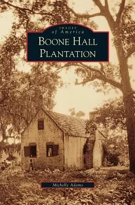 Plantația Boone Hall - Boone Hall Plantation