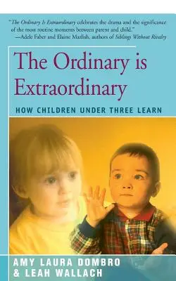 Ordinarul este extraordinar: Cum învață copiii sub trei ani - The Ordinary Is Extraordinary: How Children Under Three Learn