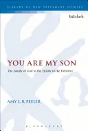 Tu ești fiul meu - You Are My Son