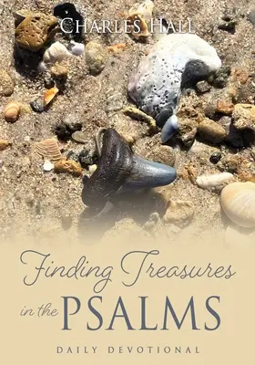 Găsirea comorilor în Psalmi: Devoțiune zilnică - Finding Treasures in the Psalms: Daily Devotional